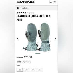 Dakine LEATHER SEQUOIA GORE-TEX MITT